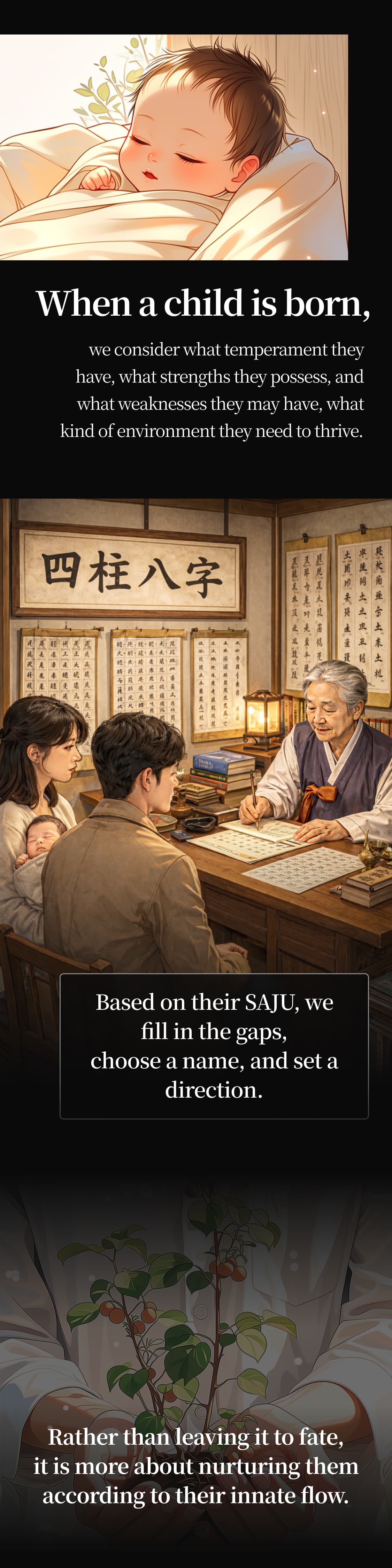 fortune-reading section-25